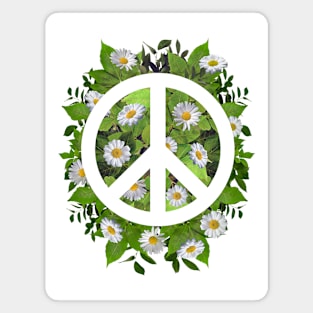 peace Magnet